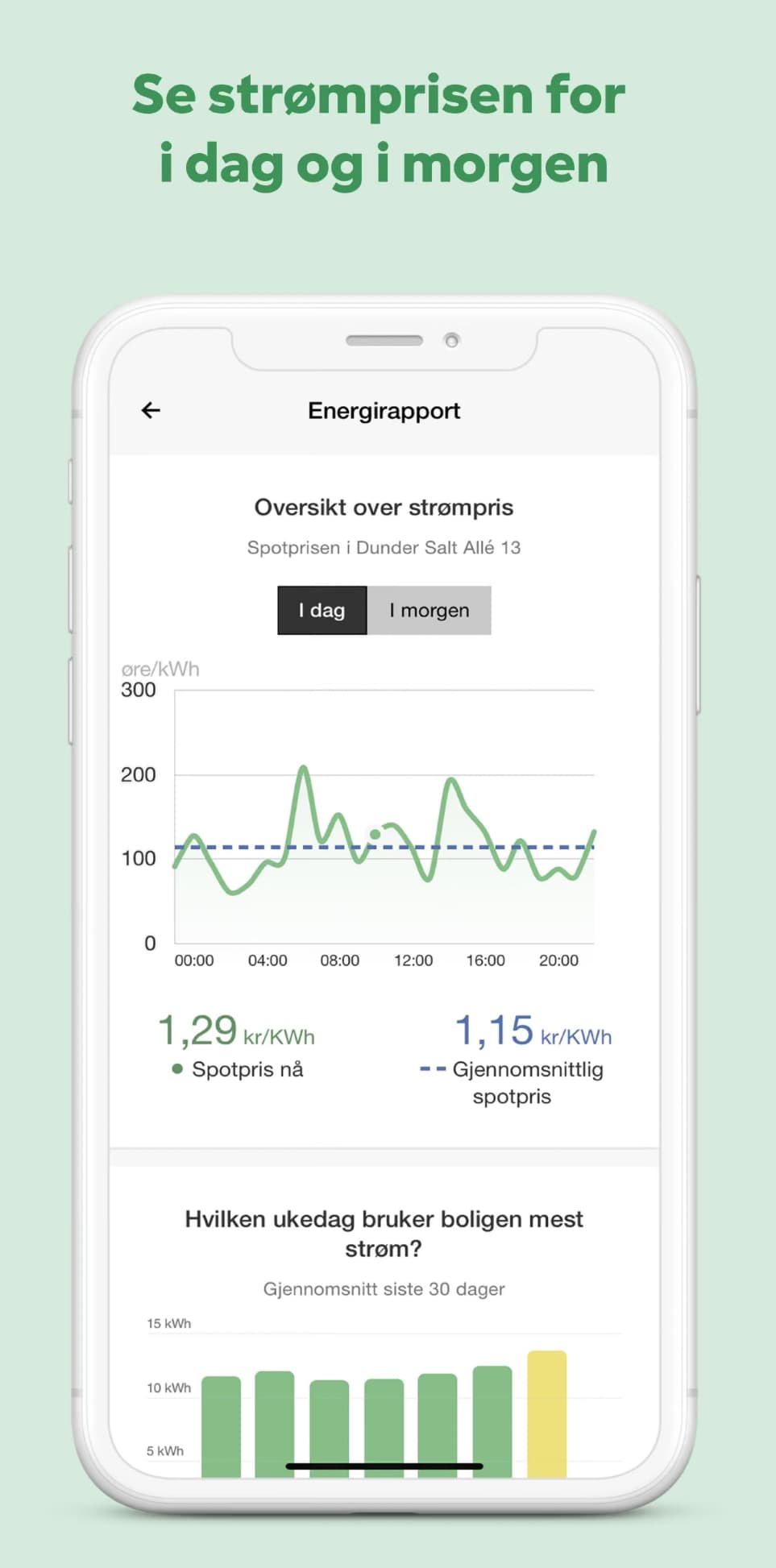 Fortum app screenshot